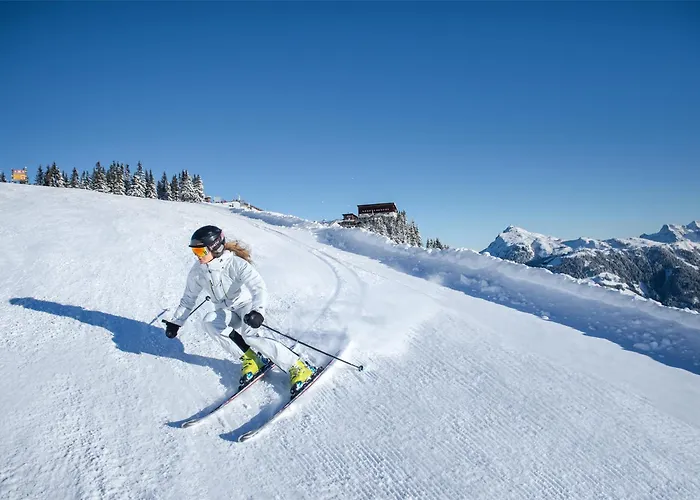 Aktivhotel Schweizerhof Hotel