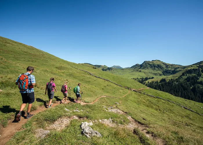 Hotel Aktiv Schweizerhof