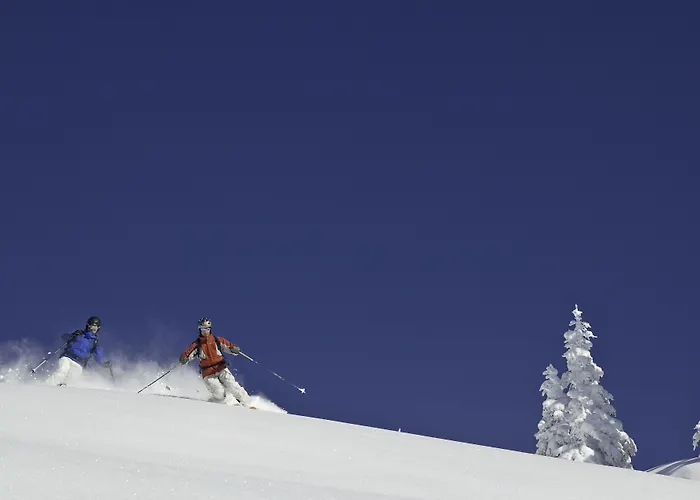 Aktiv Schweizerhof 4*