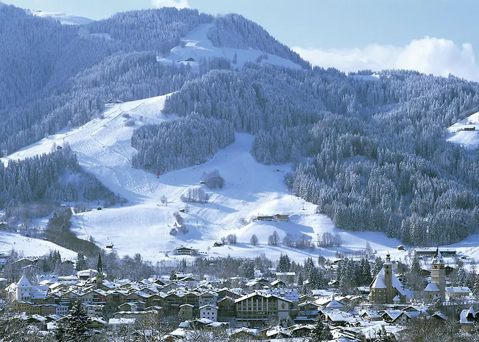 Aktivhotel Schweizerhof Hotel 4*