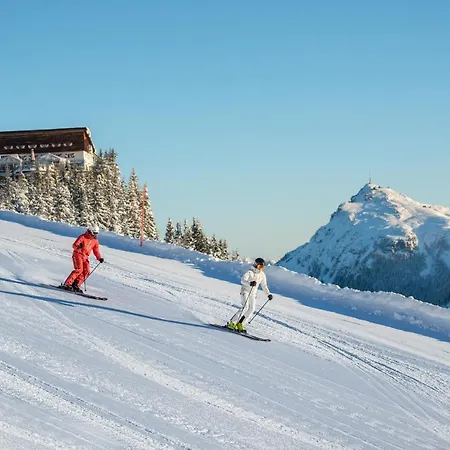 Aktivhotel Schweizerhof فندق 4*