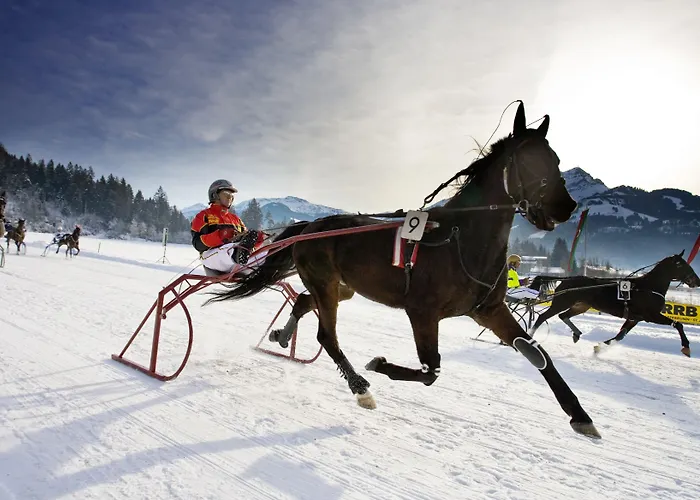 Aktivhotel Schweizerhof 4*