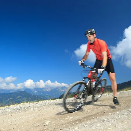 Aktivhotel Schweizerhof Hotel Kitzbühel